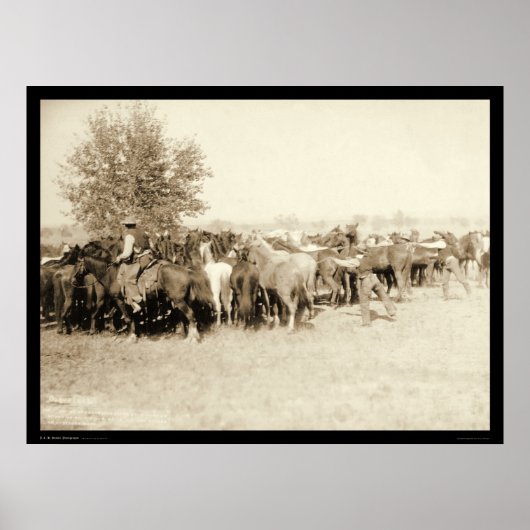 Poster Cowboys Roping a Herd of Horses SD 1887 (Devant)
