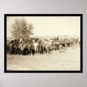 Poster Cowboys Roping un troupeau de l'écart-type 1887 de