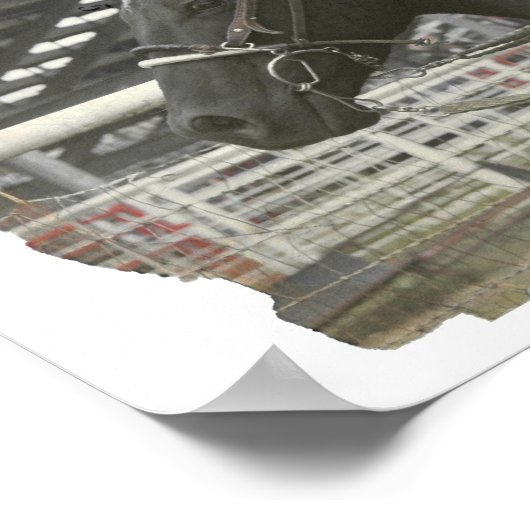 Poster Cowgirl (Coin)