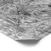 Poster Cowgirl Giving TLC, années 1930 (Coin)