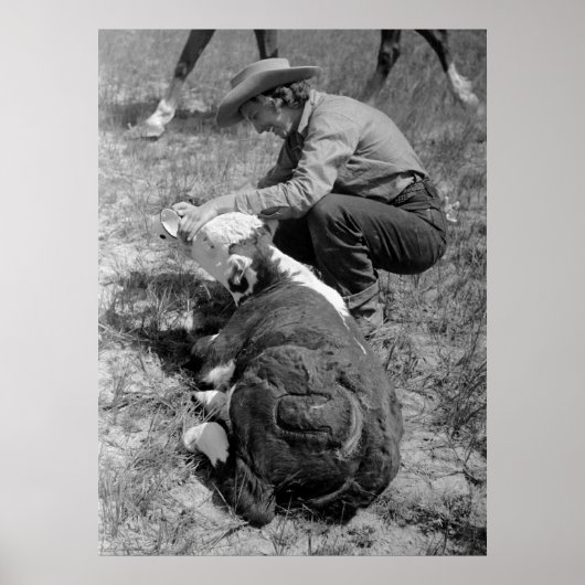 Poster Cowgirl Giving TLC, années 1930 (Devant)