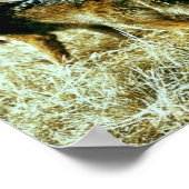 Poster Coyote (Coin)