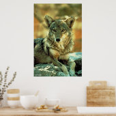 Poster Coyote (Cuisine)