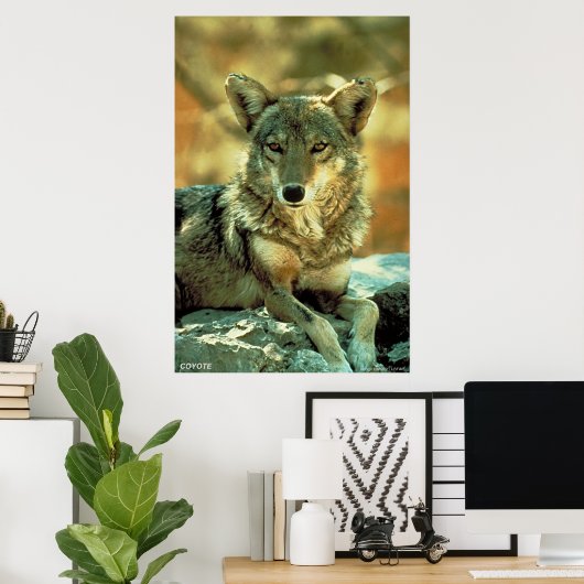 Poster Coyote (Bureau à domicile)