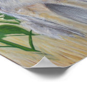 Poster Coyote (Coin)