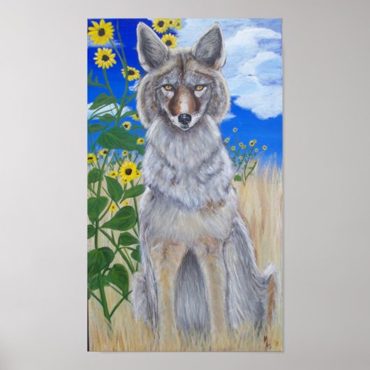 Poster Coyote (Devant)