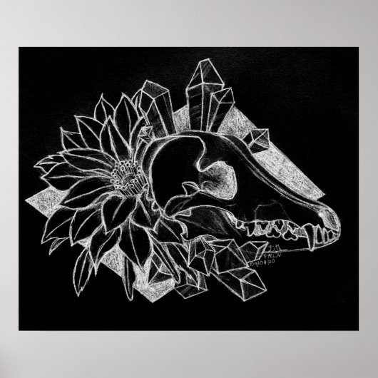 Poster Coyote de cristal inversé (Devant)