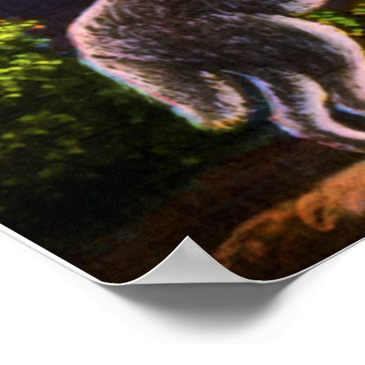 Poster Coyote Howling sur la lune (Coin)