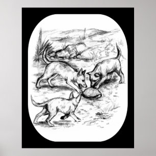Poster Coyote Pups