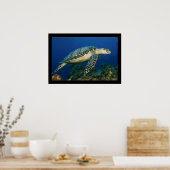 Poster Cozumel - Hawksbill #005 (Cuisine)