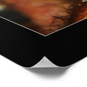 Poster Cozumel - Orange Seahorse #2 (Coin)