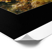 Poster Cozumel Reef (Coin)