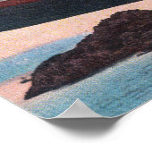 Poster CPR SS Princess May WreckSentinel Island, AK (Coin)