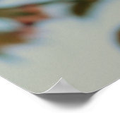 Poster Crabappier du Brandywine Malus Printemps Fleur ros (Coin)