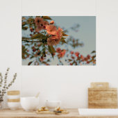 Poster Crabappier du Brandywine Malus Printemps Fleur ros (Cuisine)