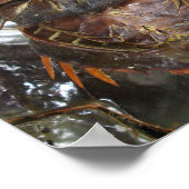 Poster Crabe à fer à cheval ... Restauration asiatique th (Coin)