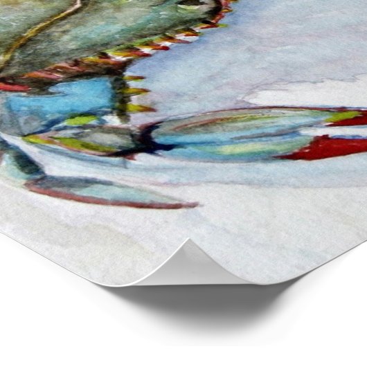Poster Crabe bleu (Coin)