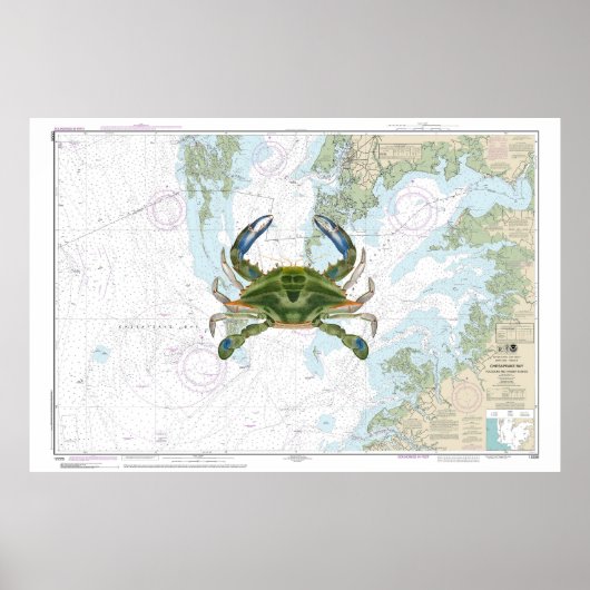 Poster Crabe bleu avec carte marine de la baie Chesapeake (Devant)