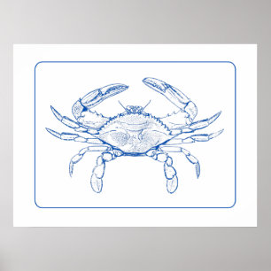 Poster Crabe bleu et blanc côtier