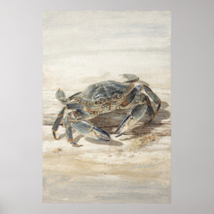 Poster Crabe Bleu sur un Rivage Sablonneux