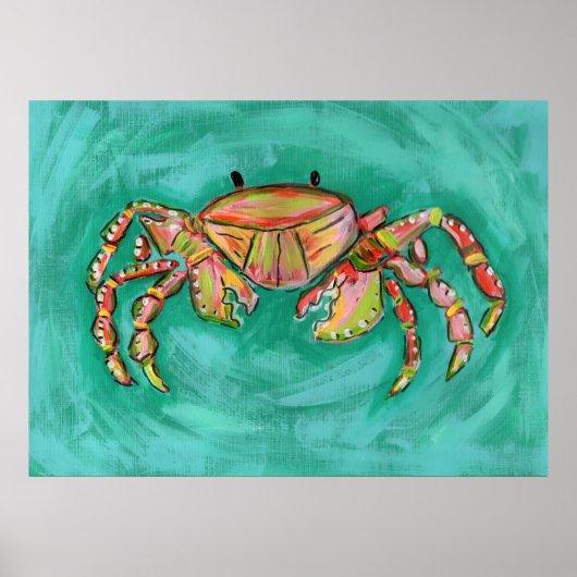 Poster Crabe calypso (Devant)
