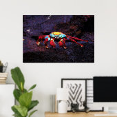 Poster Crabe de Red Rock (Bureau à domicile)