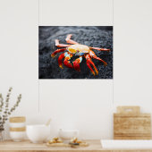 Poster Crabe des pieds légers sur une roche de lave noire (Cuisine)