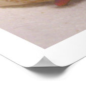 Poster Crabe ermite #10 (Coin)