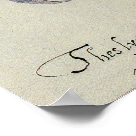 Poster Crabe hermite (Coin)