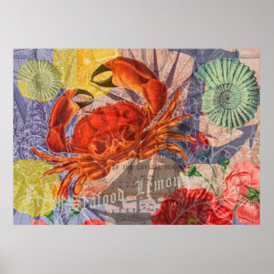 Poster Crabe Plage Nautique Art de la mer
