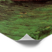 Poster Crabe sur le Dos par Vincent van Gogh (Coin)