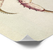 Poster Crabe terrestre (Coin)