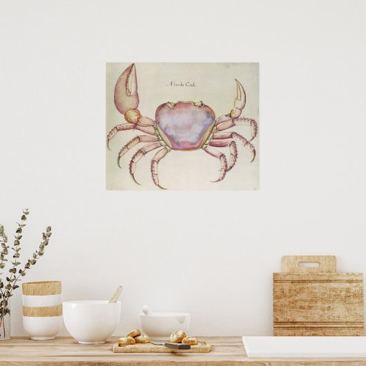 Poster Crabe terrestre (Cuisine)
