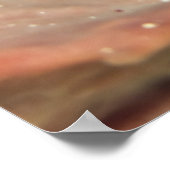 Poster Crabes à flèches dans une éponge de baril (Coin)