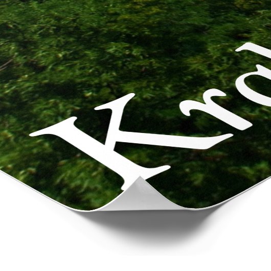 Poster Cracovie, Pologne (Coin)