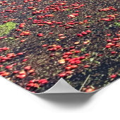 Poster Cranberry Farm, Long Beach, Washington (Coin)