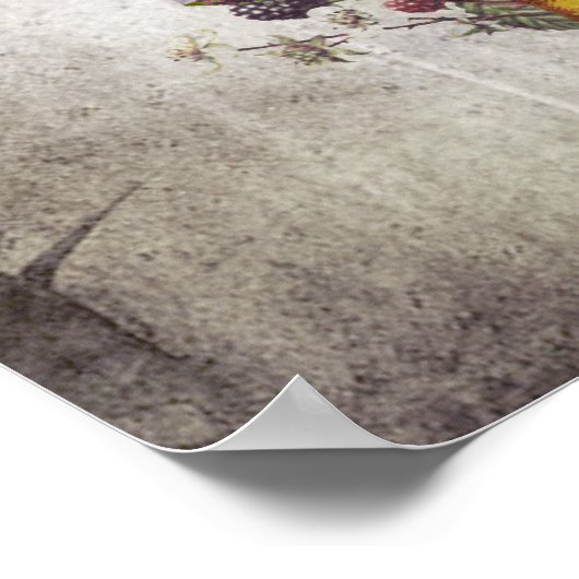 Poster Crâne (Coin)