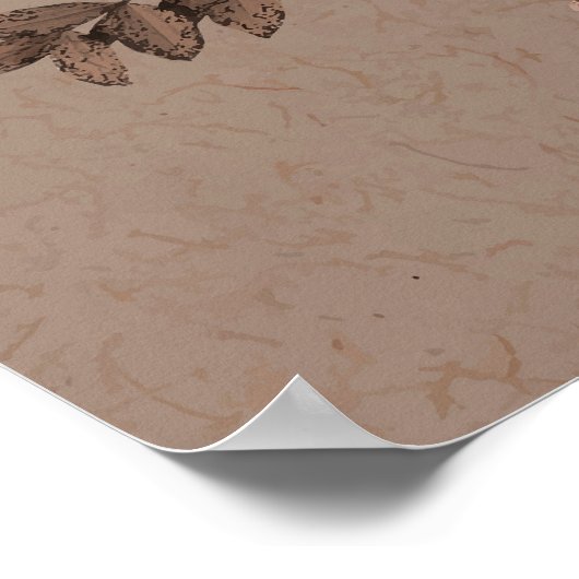 Poster Crâne (Coin)