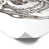 Poster crâne (Coin)