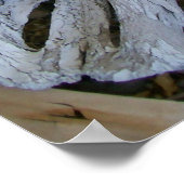 Poster Crâne (Coin)