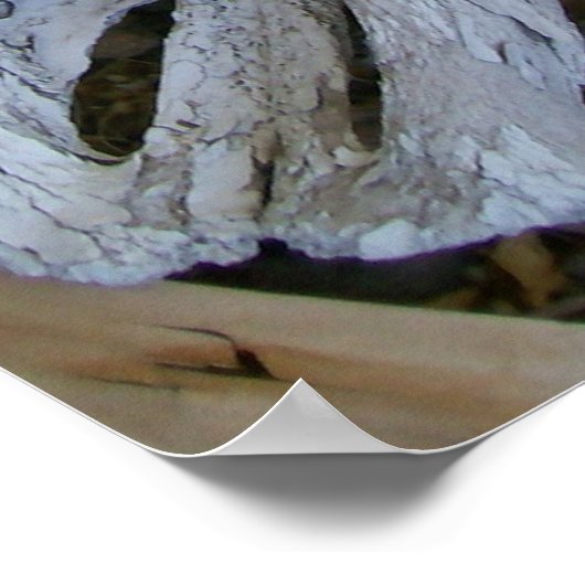 Poster Crâne (Coin)