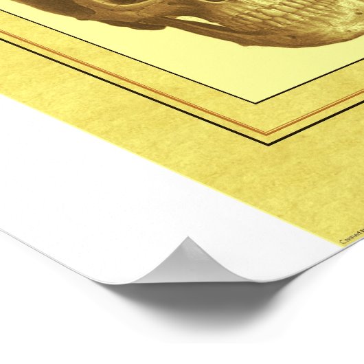 Poster Crâne (Coin)