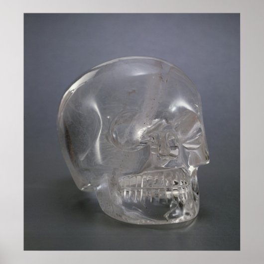 Poster Crâne (Devant)