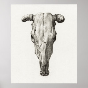 Poster Crâne animal vintage