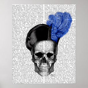 Poster Crâne avec Casquette bleu