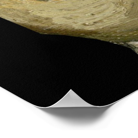 Poster Crâne avec cigarette brûlante par Vincent van Gogh (Coin)