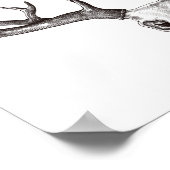 Poster Crâne de cerf vintage/Antlers (Coin)