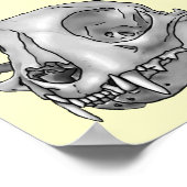 Poster Crâne de chat (Coin)