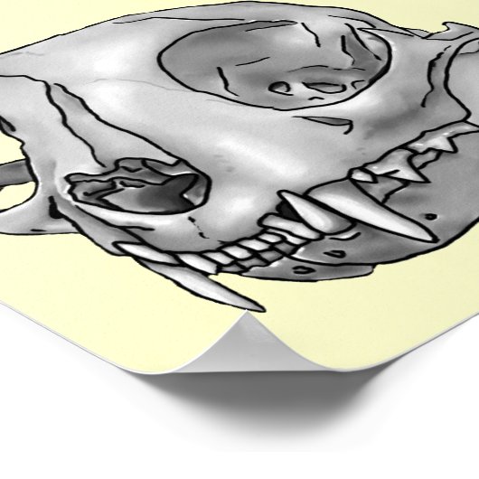 Poster Crâne de chat (Coin)