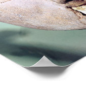 Poster Crâne, de Jéricho, 7000-6000 av. (Coin)